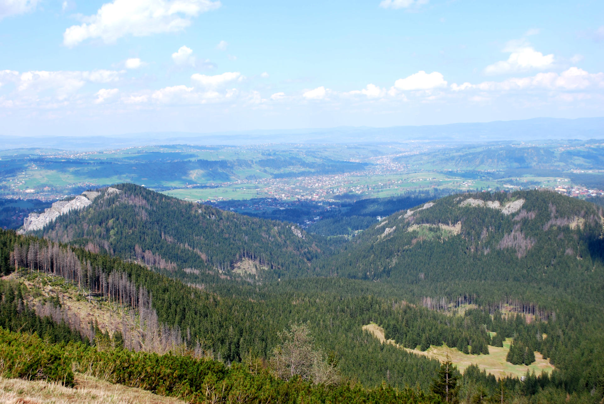 Widok z góry na Dolinę Olczyską
