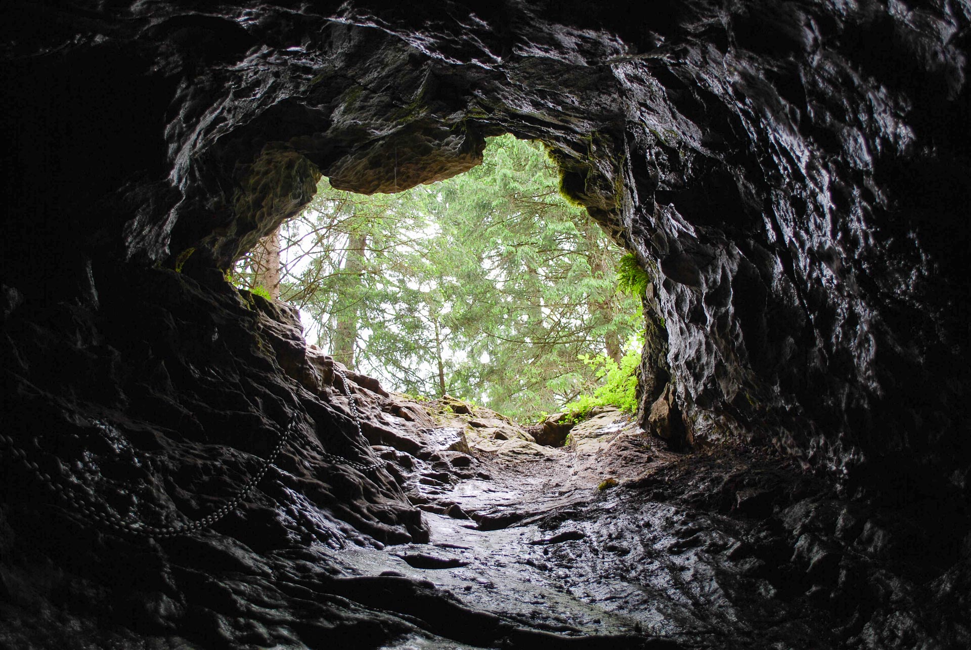 Jaskinia Smocza Jama
